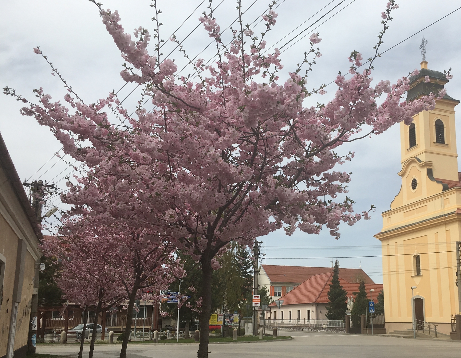 Fotogaléria Kostol Svätého Jána Krstiteľa (14) Kostol Svätého Jána Krstiteľa