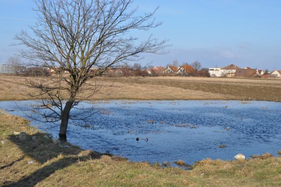 DSC_0112.JPG DSC_0112.JPG